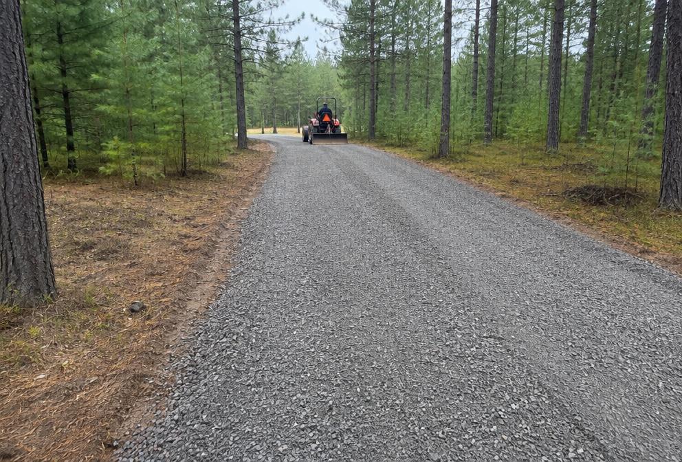 Freshly graded gravel driveway through a pine forest